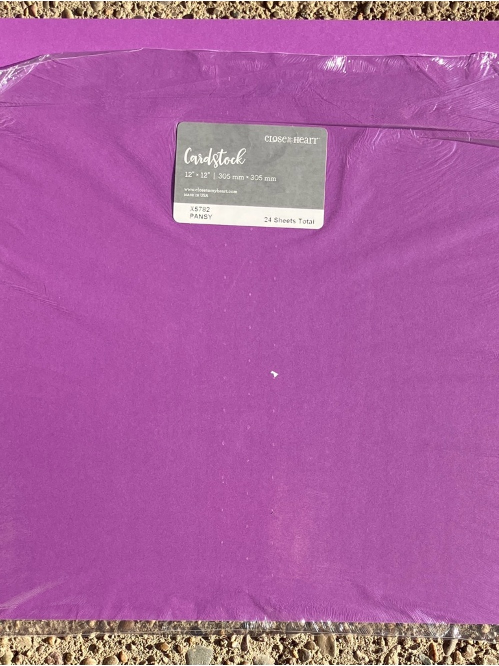 Close To My Heart Pansy Cardstock - Purple Pack